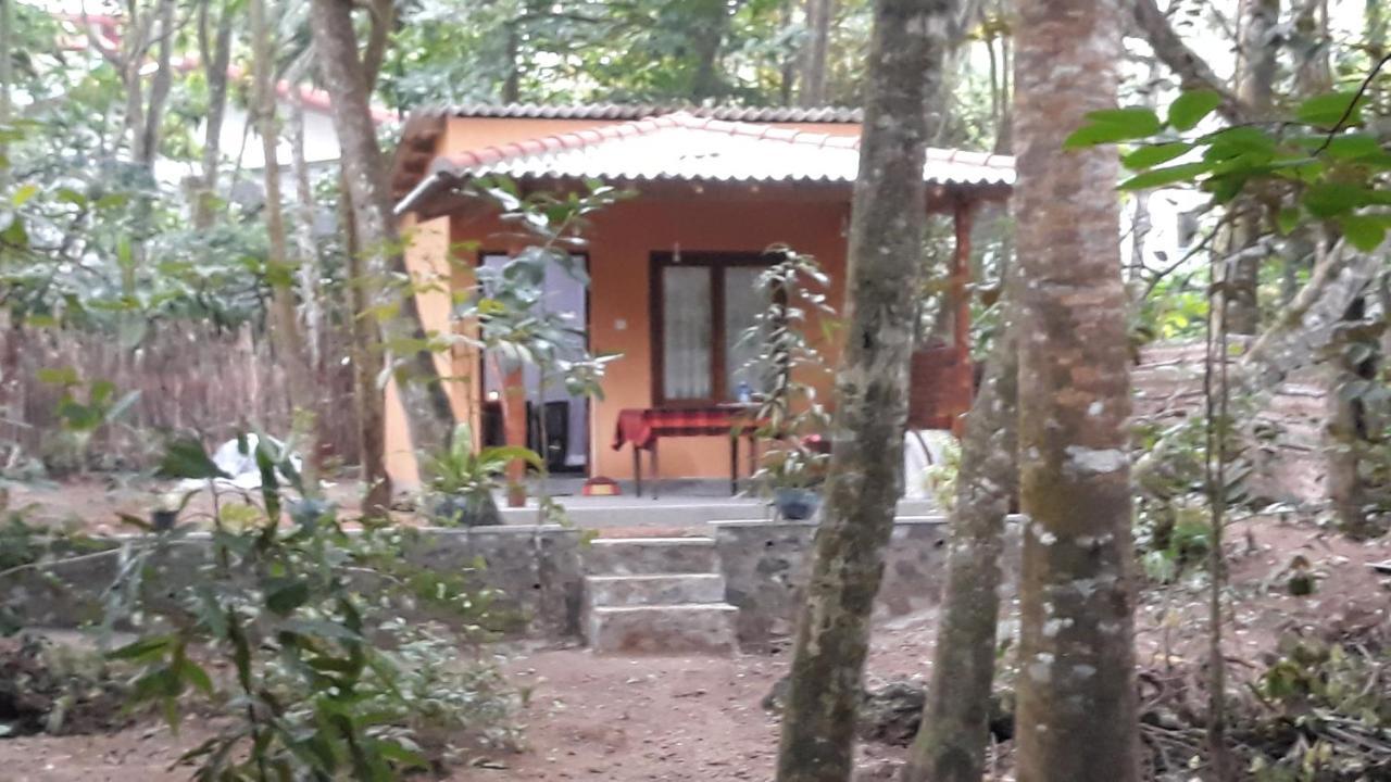Freedom Villa Hiriketiya Dikwella Oda fotoğraf